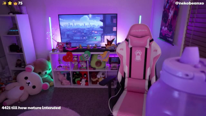 Nekobeanxo