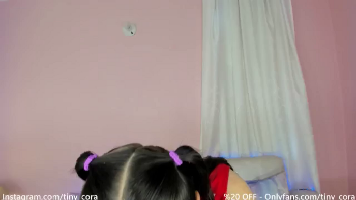 Tiny_Cora