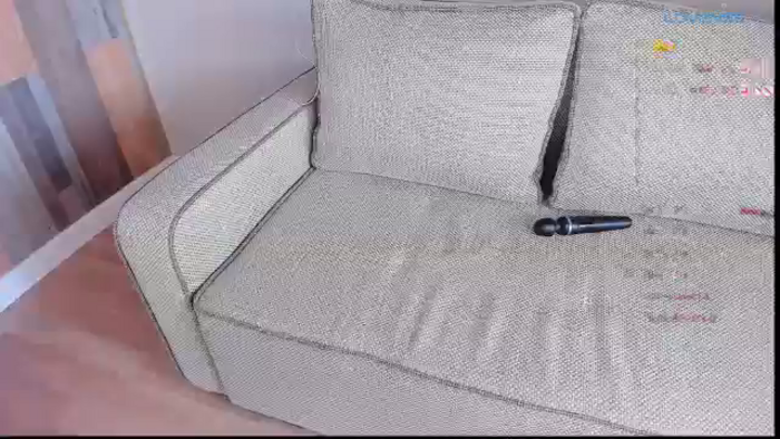 OnlyCats