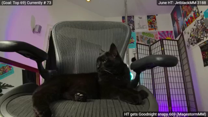 MollyMayhem