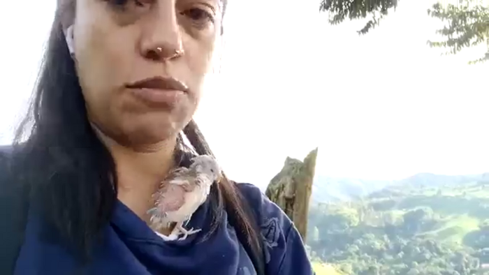 Tease_Ta