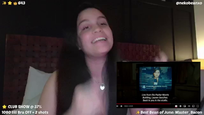Nekobeanxo