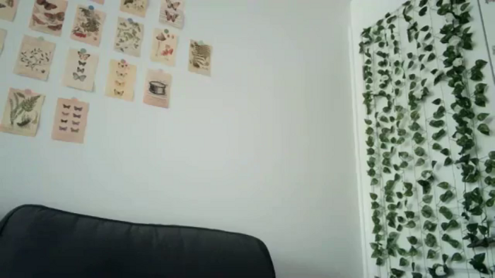 mayflowwer
