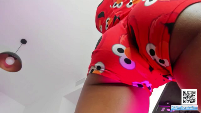 pamela_land
