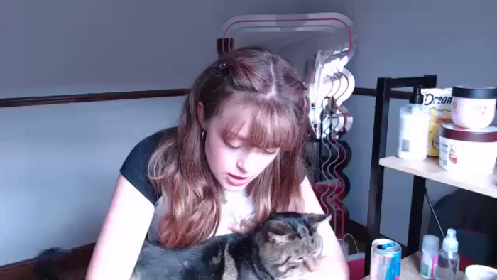 Kittycash3w