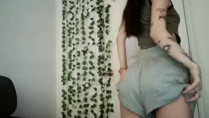 mayflowwer