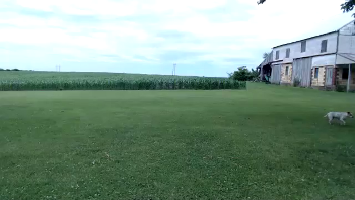 FarmGirl__
