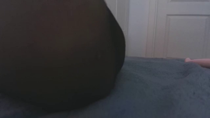 Ice_Petal
