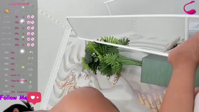 Indiankitty_