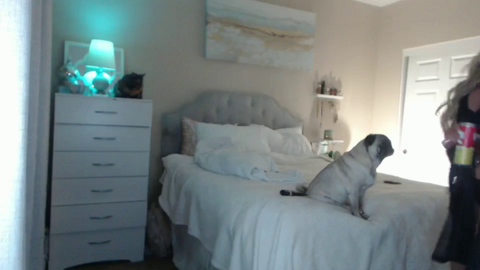 Queen_bambii
