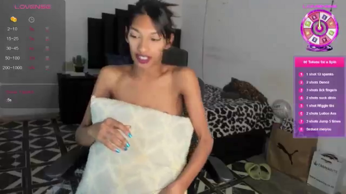 Silky_indian