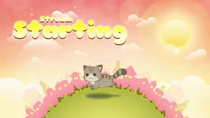 Kitty