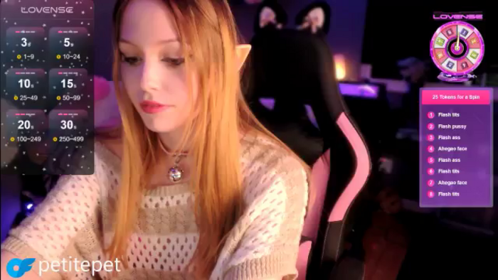 PetitePet