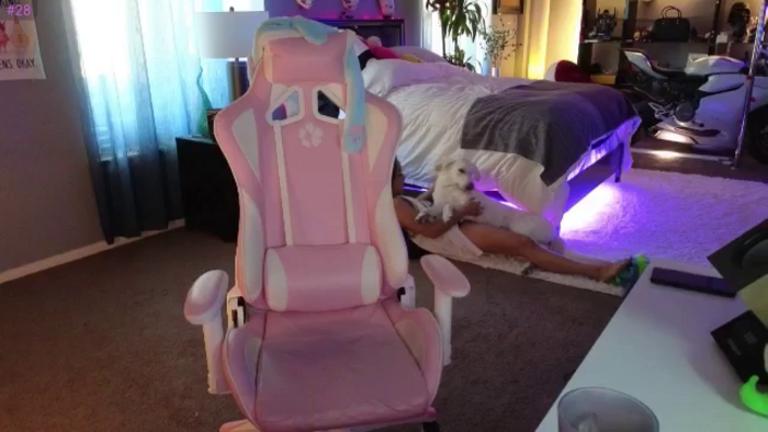 LexxiStar