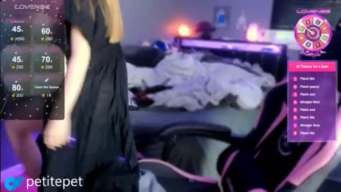 PetitePet