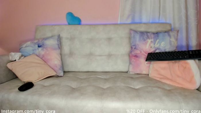 Tiny_Cora