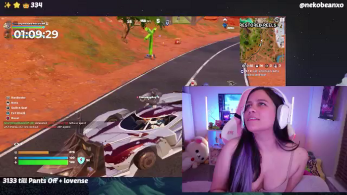 Nekobeanxo