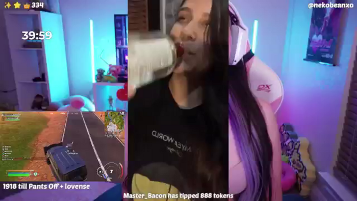 Nekobeanxo
