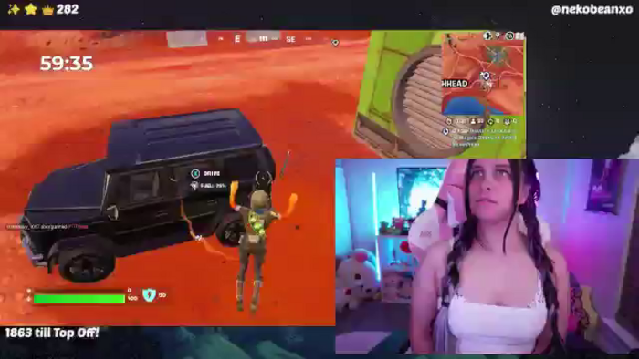 Nekobeanxo
