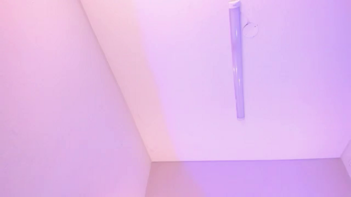 anniesclub