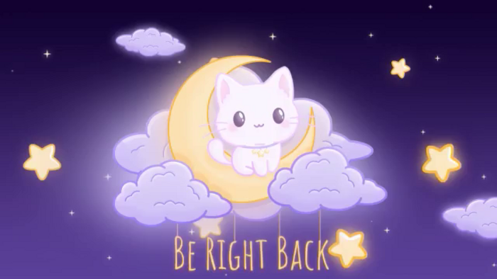 ZillyKitty