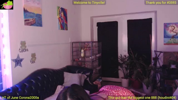 ATinyCassie