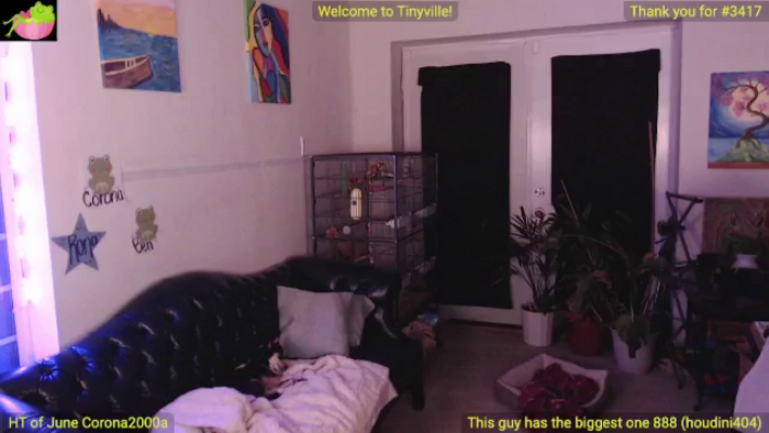 ATinyCassie