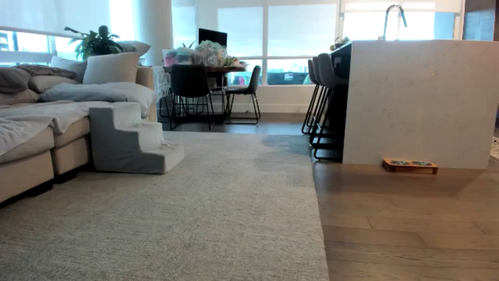 Mollyboots