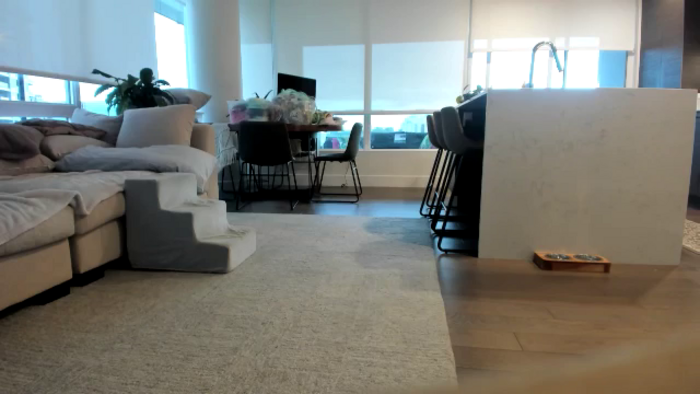 Mollyboots