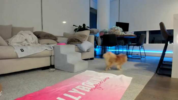 Mollyboots