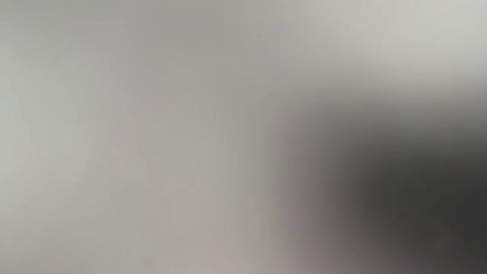 MsCheeks