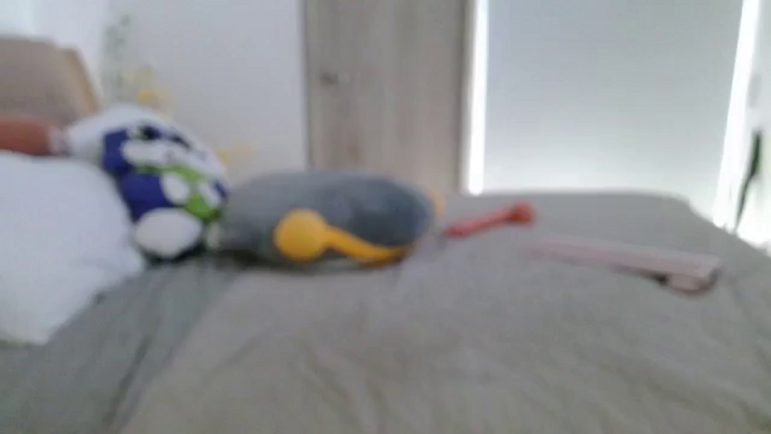 Leidysautss