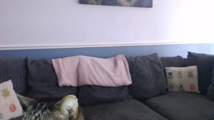 Kittycash3w