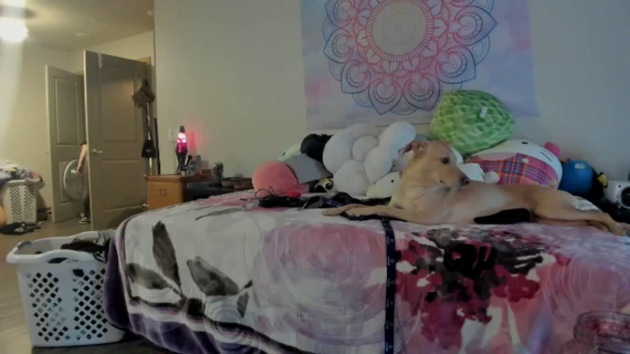 JaylaBliss