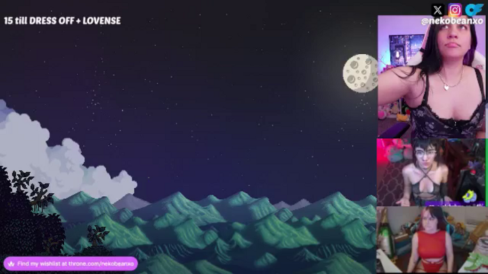 Nekobeanxo
