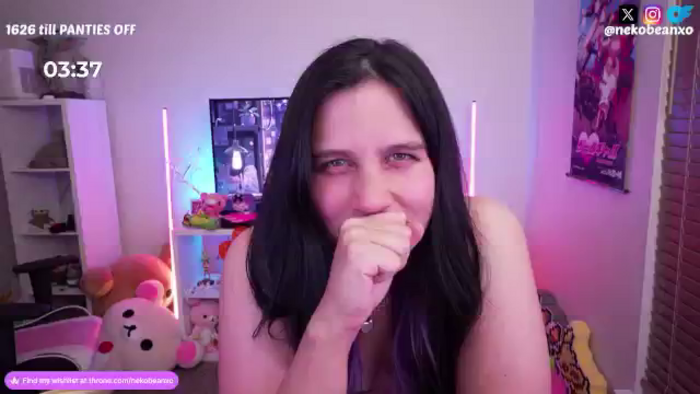 Nekobeanxo