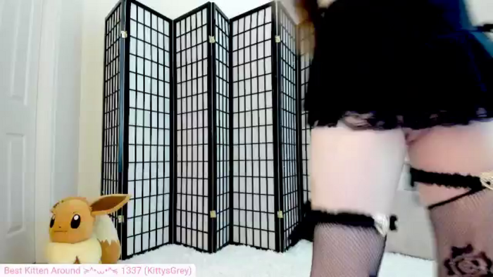 Kitty