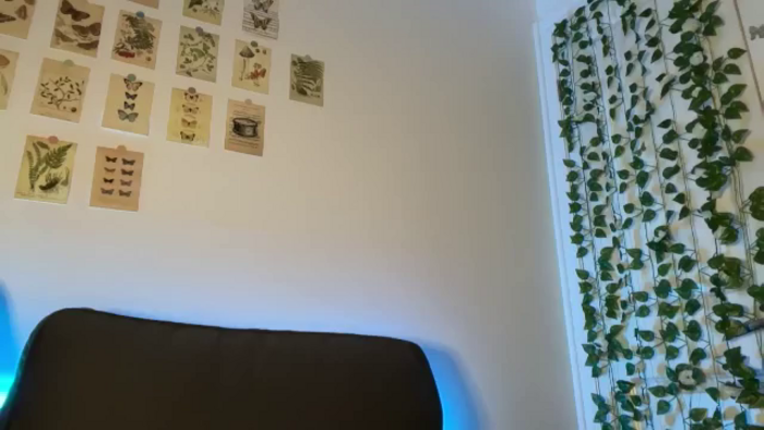 mayflowwer