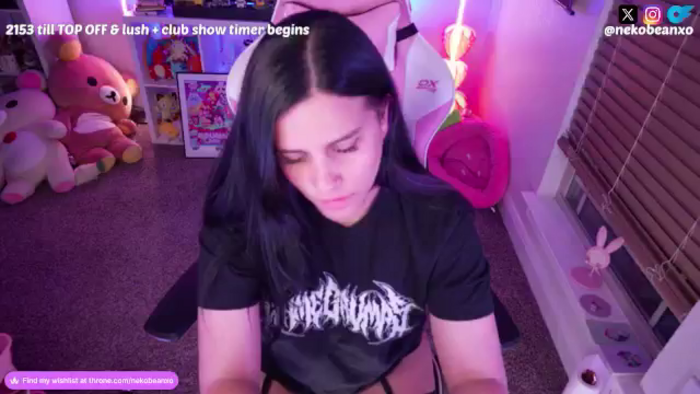 Nekobeanxo