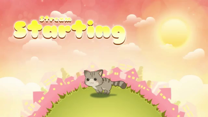 Kitty