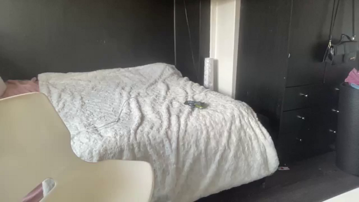 petitebabixo