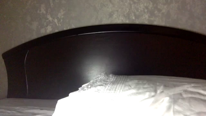 Polly_213109