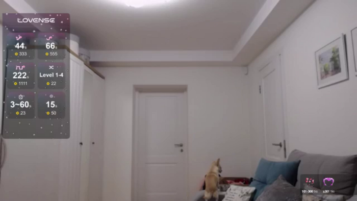MyPlayfullady