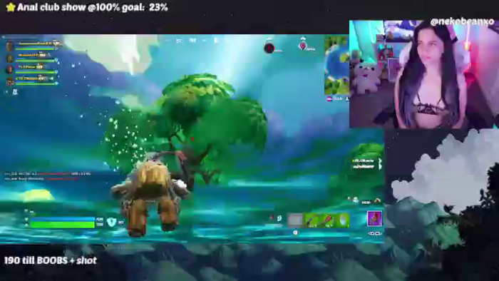 Nekobeanxo