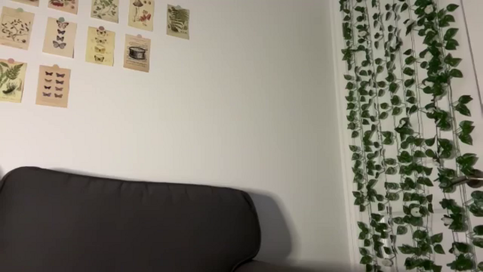 mayflowwer