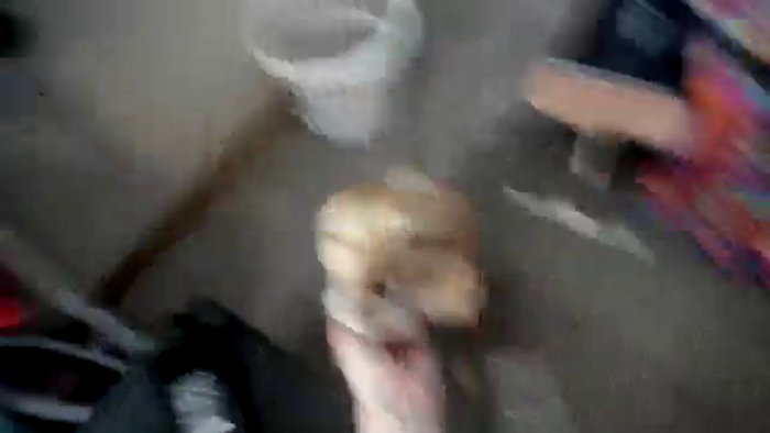 JaylaBliss