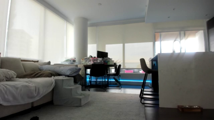 Mollyboots