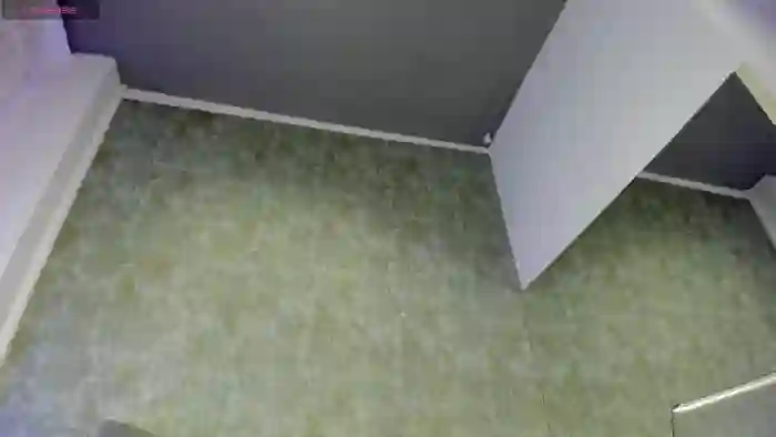 2024/08/10/mfc-torrihayes-07-59-46