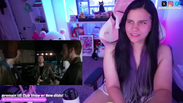 Nekobeanxo