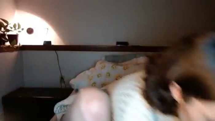 Nubilefae